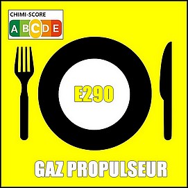 E290 Additif alimentaire conservateur et gaz d'emballage