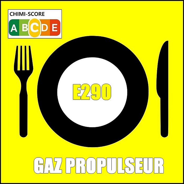 E290 Additif alimentaire conservateur et gaz d'emballage